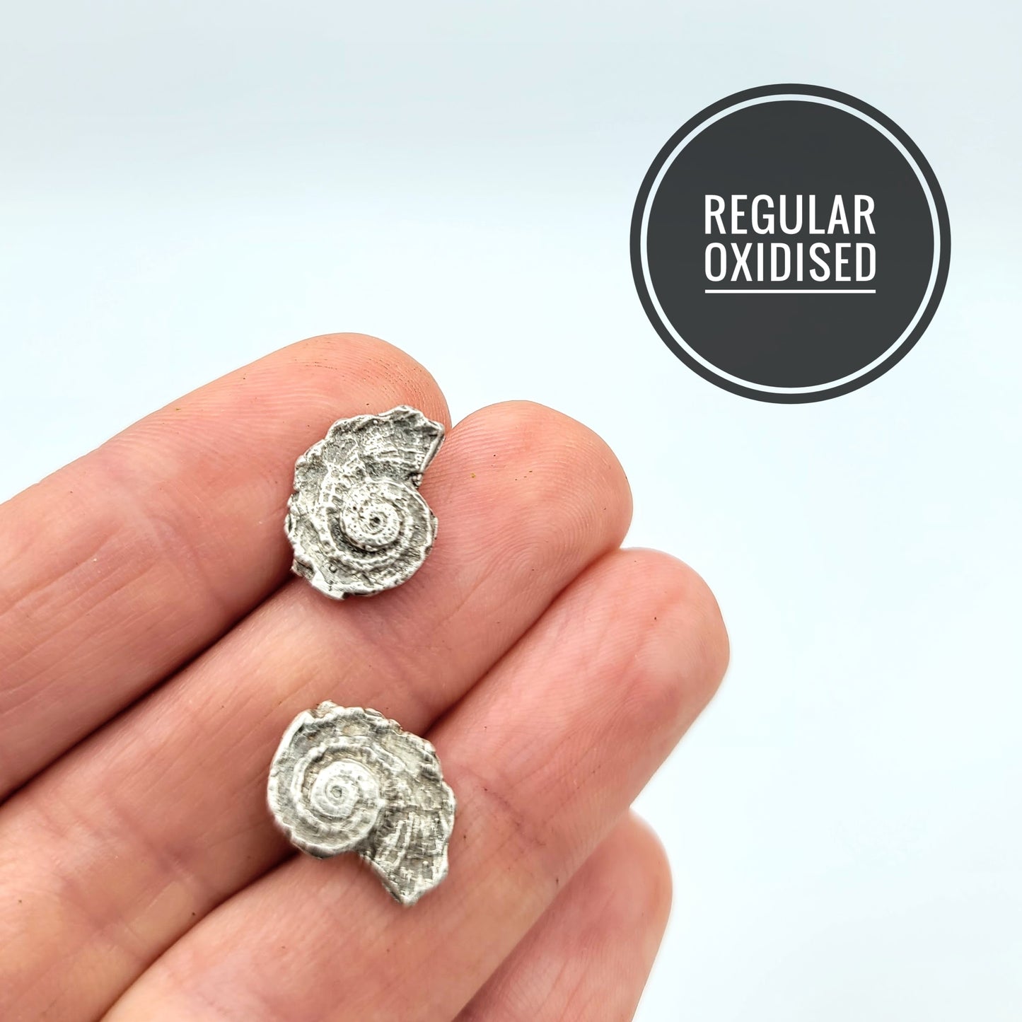 Seashell studs